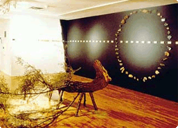 Installation Art Thumbnail