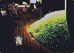 Bring Life Back to a Dead Earth Thumbnail