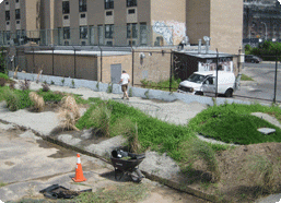 Dreher Park Thumbnail