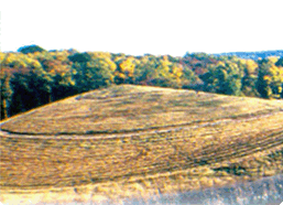 Reclamation Thumbnail