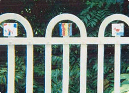 Ossabaw Island Thumbnail