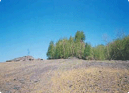 Tubs Project Thumbnail