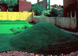 Mattress Factory Thumbnail